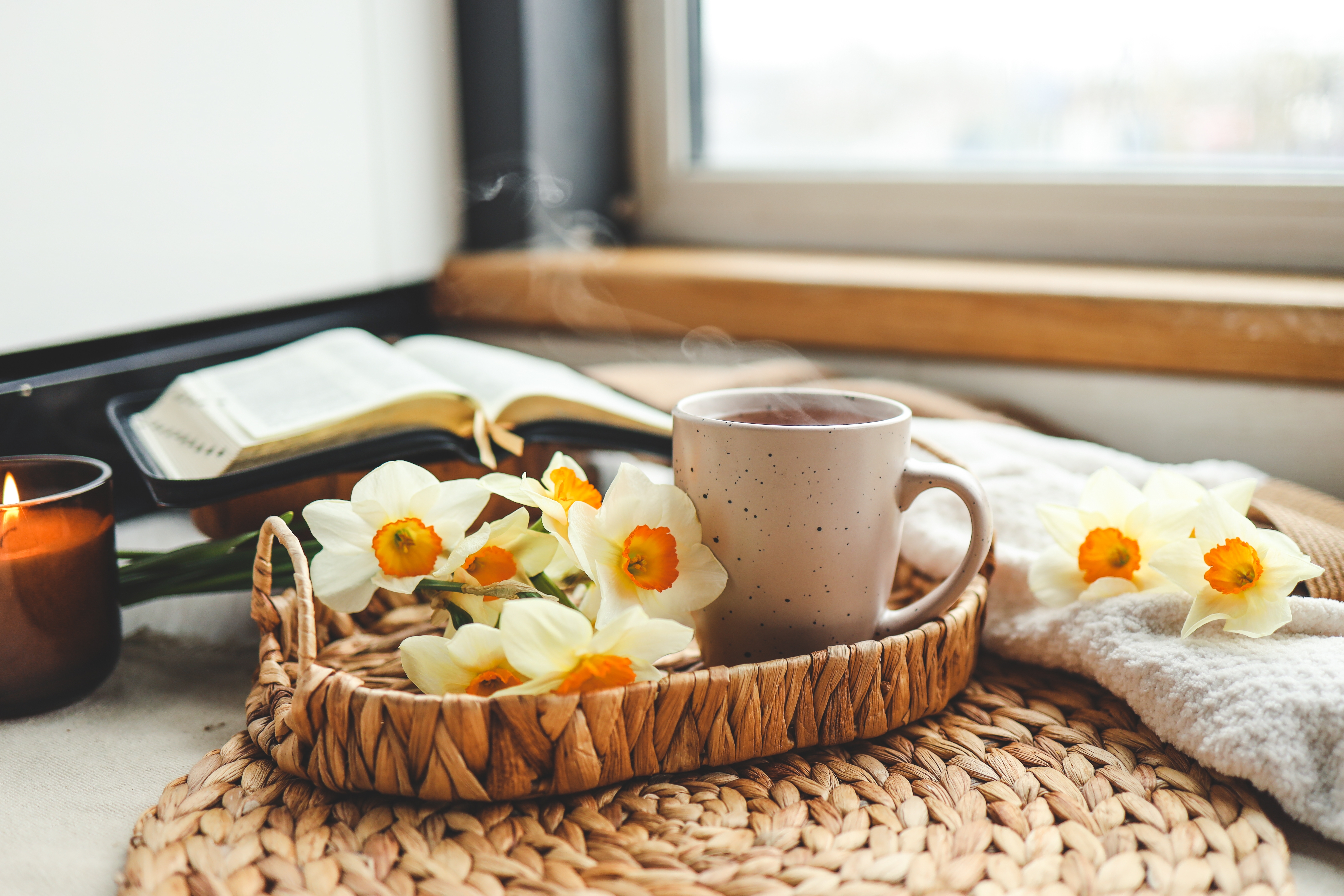 Програма за всеки ден
