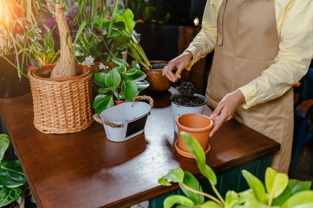 Овен (16 – 22 март): Започнете ново хоби 