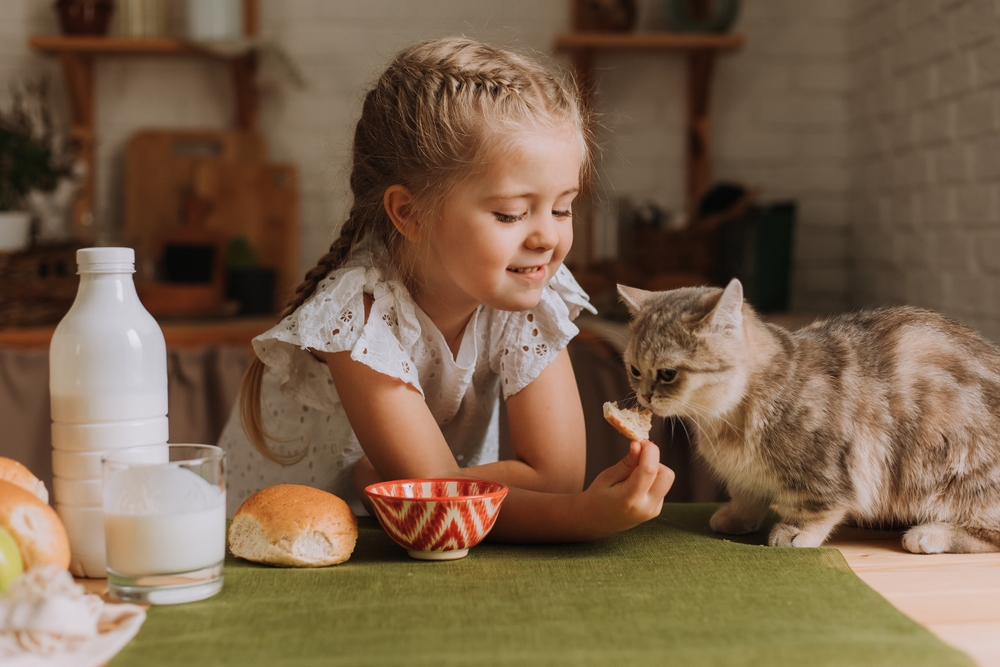 Сладките котенца