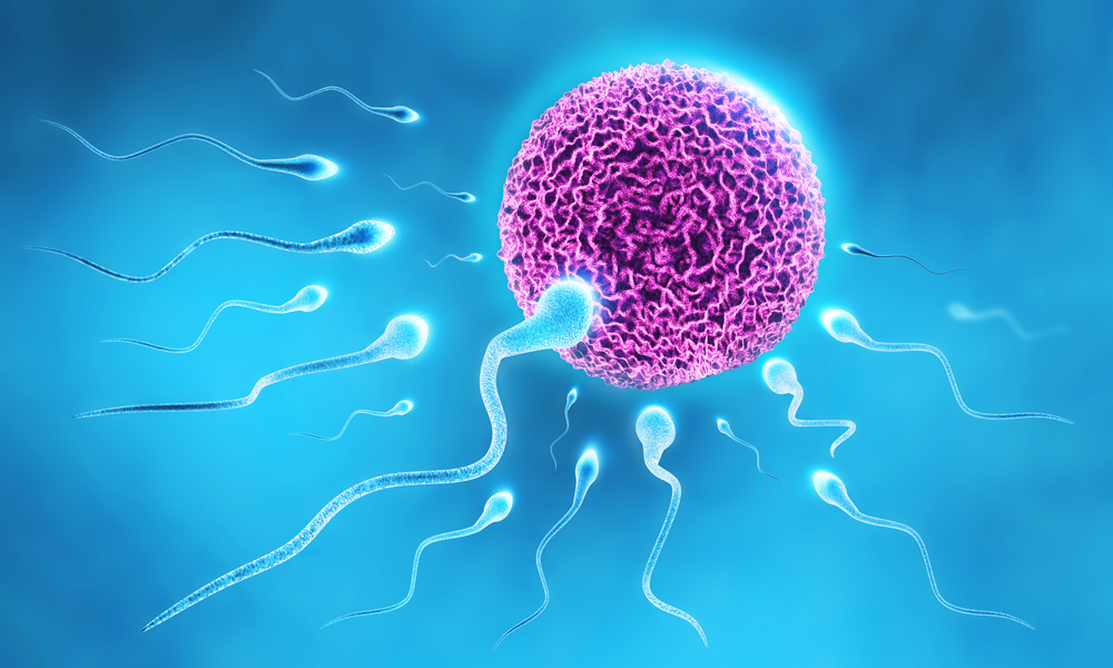 Конкурентноспособният сперматозоид се изявява при съперничество 