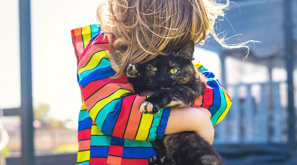 Детето е донесло животно от улицата 