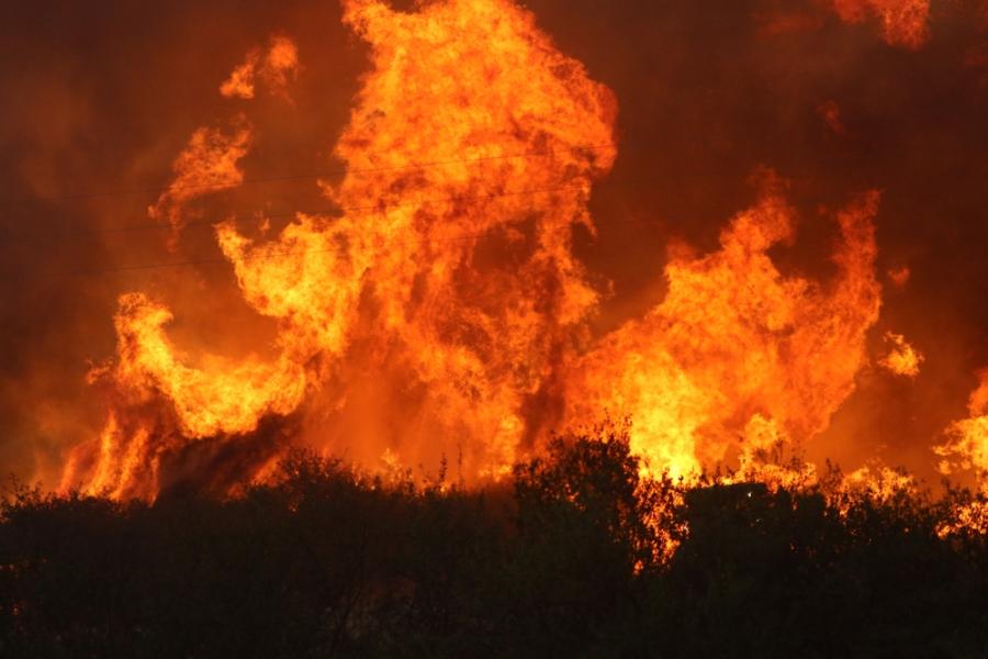 Пожарите в България: Или как да предпазим нашите гори