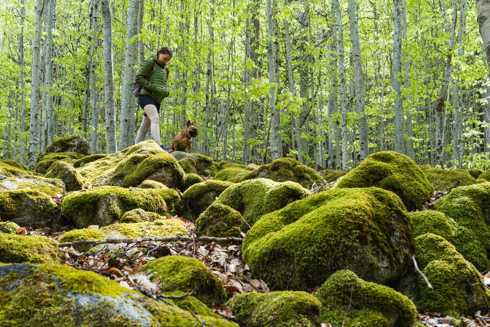 Тези неща ще излекуват разбитото ви сърце