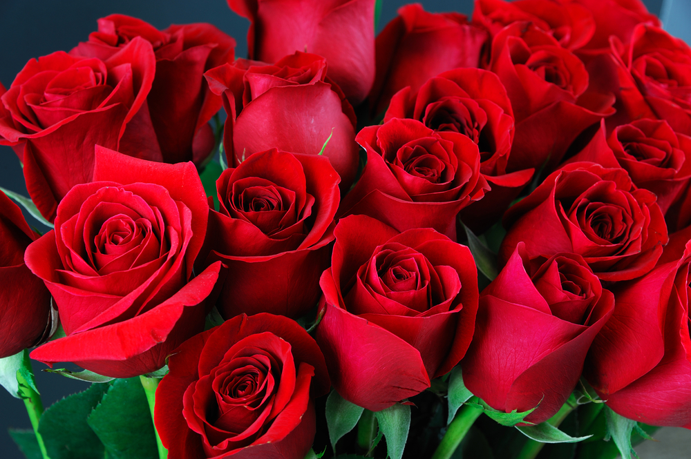 8-годишен спечели пари и купи 68 рози за съученичките си  