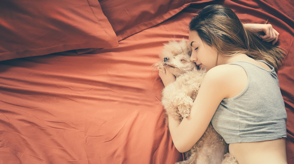 8 неща, които се случват, когато позволите на кучето да спи при вас 