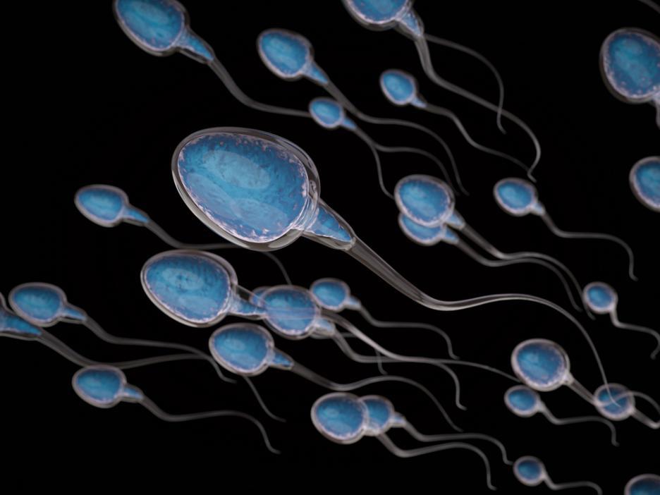 Отрова от стрели е бъдещето на мъжкия контрацептив 