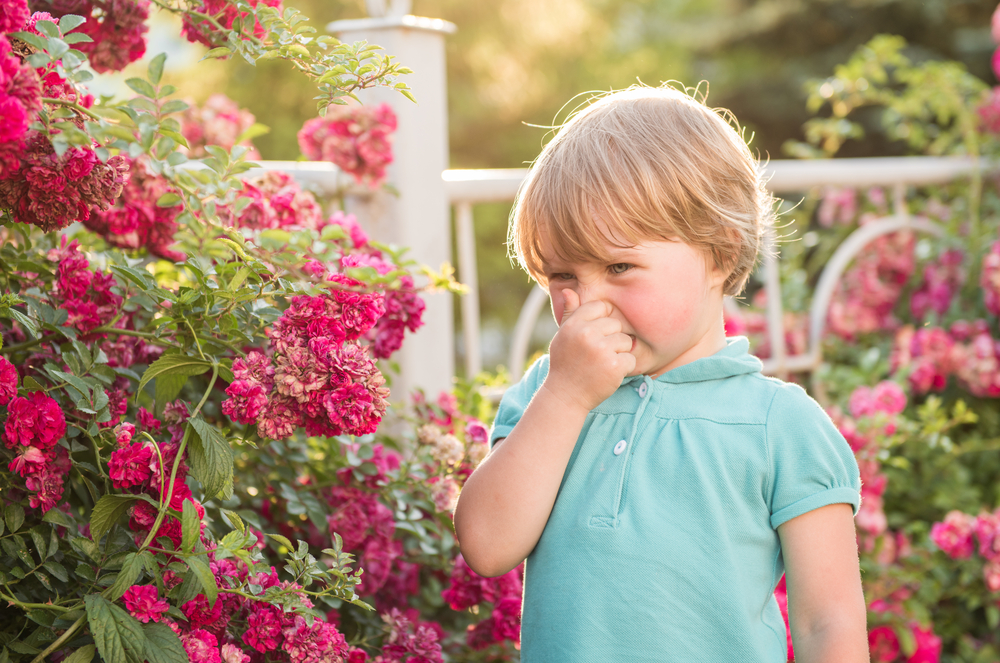 4 симптома, които подсказват алергия 