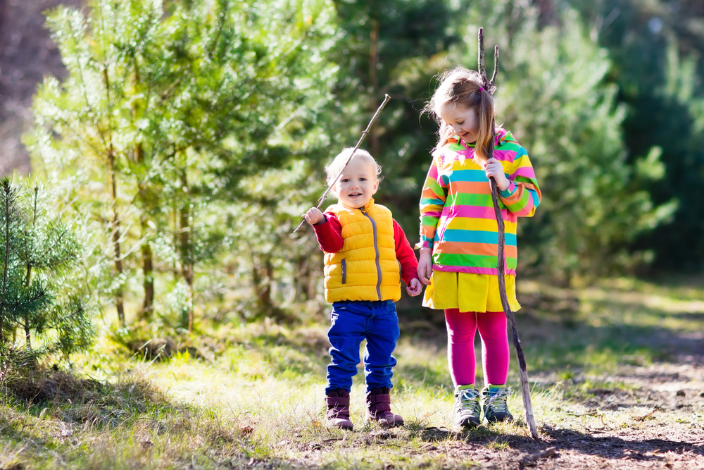По какъв начин горската почва помага за здравето на децата 