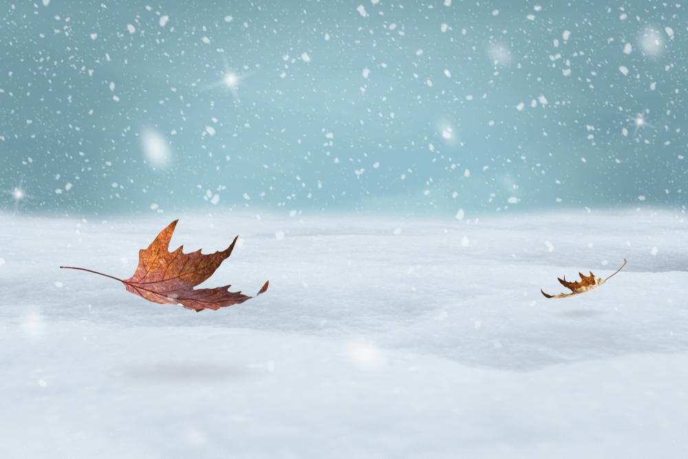 Детето пита: Колко време снежинките летят до земята