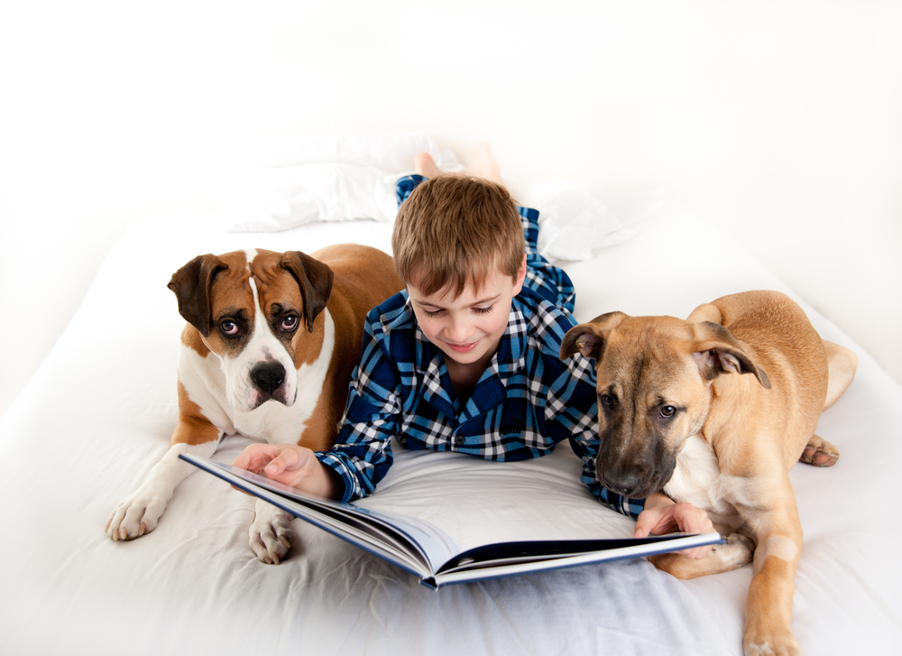 Детето чете по-дълго и е по-мотивирано в компанията на куче 