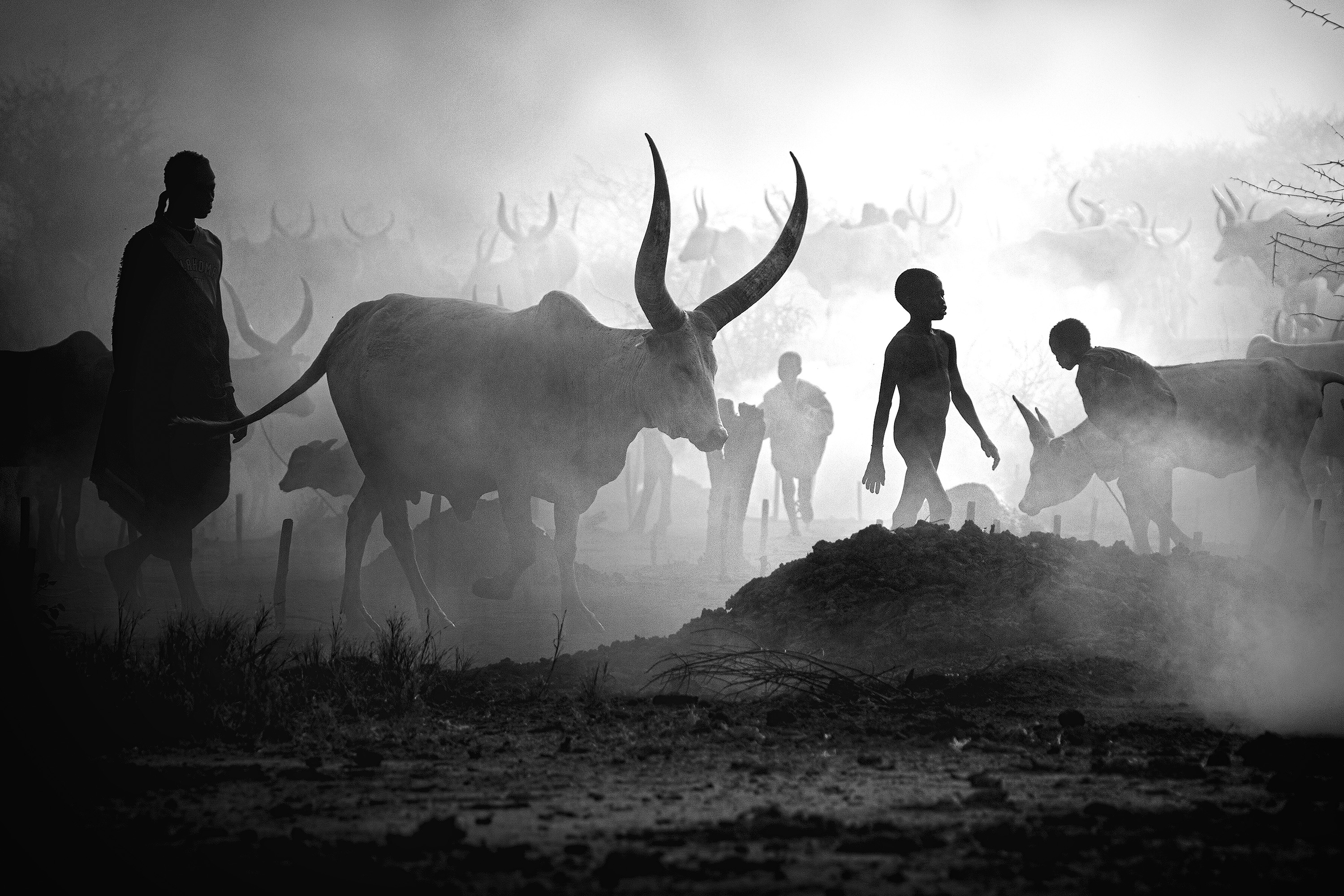 Благотворителна изложба „Купи изкуство, дари бъдеще на дете“