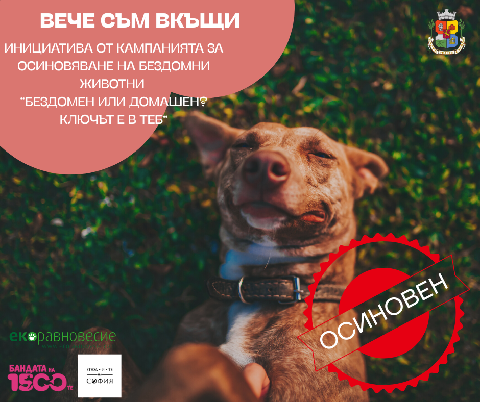 „Вече съм вкъщи“ – новата инициатива от кампанията „БезДОМен или ДОМашен? Ключът е в теб!“