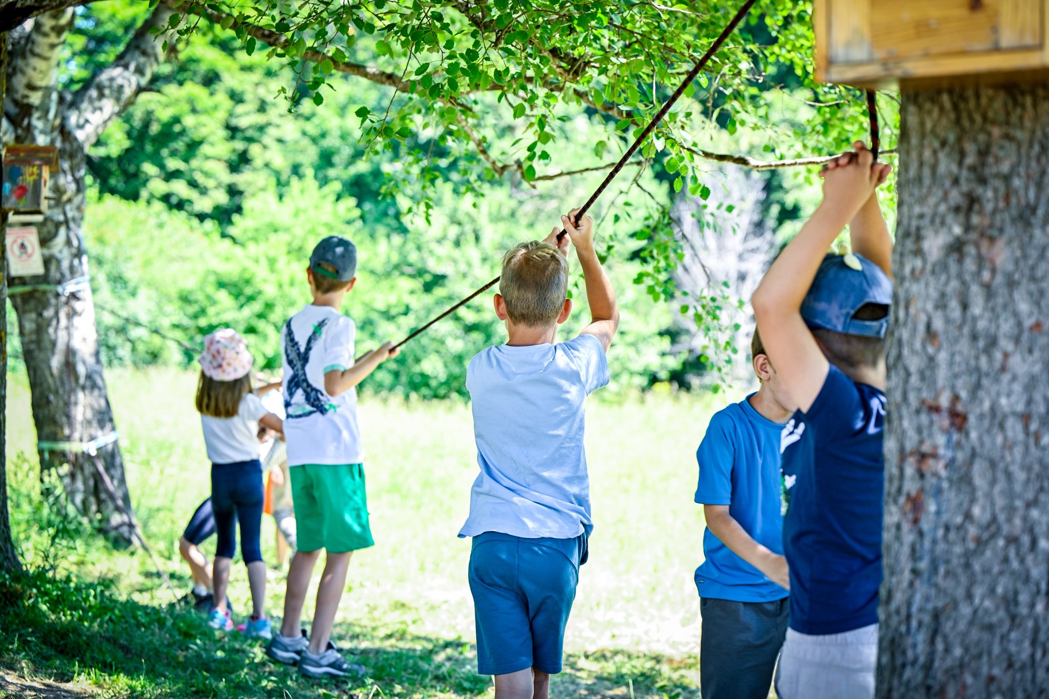 Витоша става класна стая на открито 
