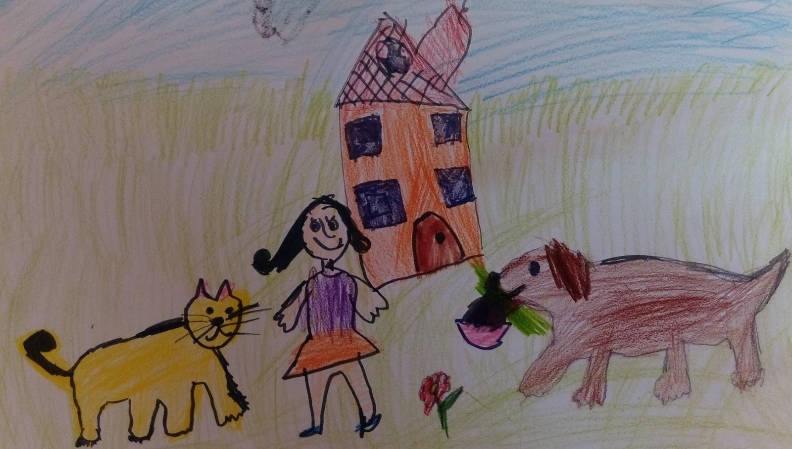 На разходка с домашните любимци 