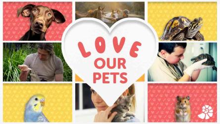 Да обичаме животните с канал Da Vinci през февруари 