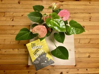 Кой се страхува от охлюла 