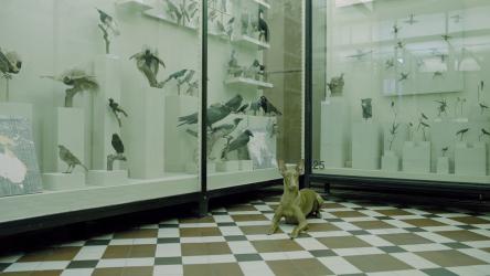 Съвременно изкуство за деца 