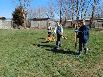 Ти решаваш, БезДОМен или ДОМашен! 