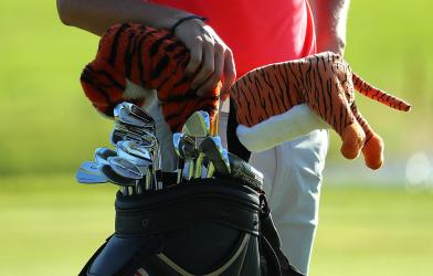 Вдъхновение от деня 