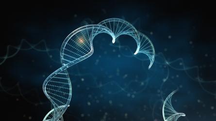 Откриха причината за неизясненото безплодие при жените 