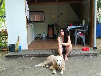  Приземяване с корона  