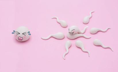 Човешката яйцеклетка е капризна, избира си сперматозоид   