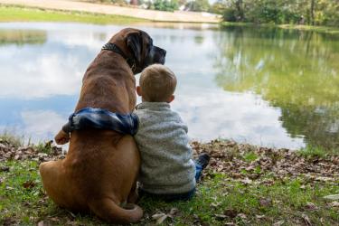 Децата и животните: как да ги сприятелим 