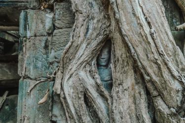 Най-невероятните места, където природата е победила 