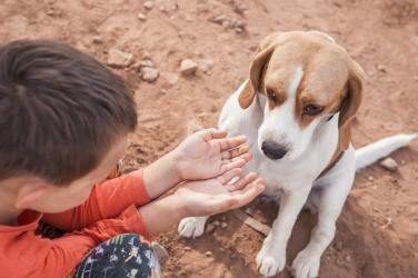 Какво означава твоето име: Стилиан/а 
