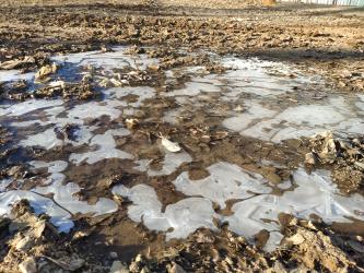 Детето пита: Защо ледът плува над водата 