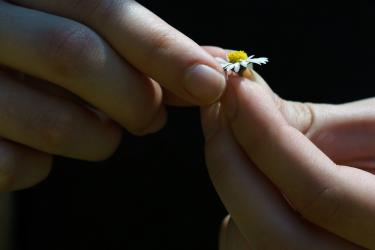  30 въпроса към себепознанието  