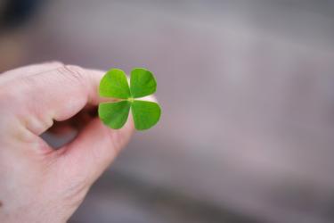 Риби (20 – 26 октомври): Късметът ще е с вас 