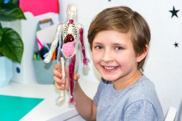 6 невероятни факта за човешкото тяло 