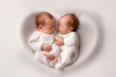 Близнаци по поръчка: възможно ли е 