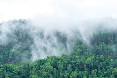 Детето пита: Защо след дъжд се появява мъгла  