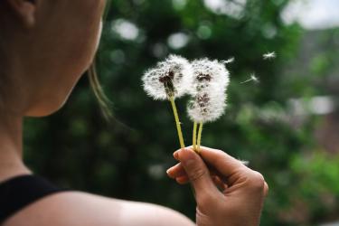 Ефектът на очакването, който ни прави щастливи  