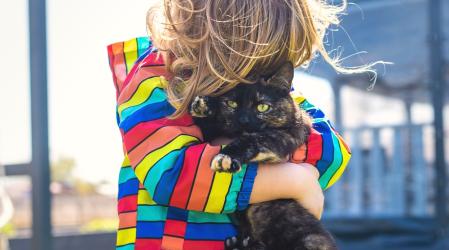 Детето е донесло животно от улицата  