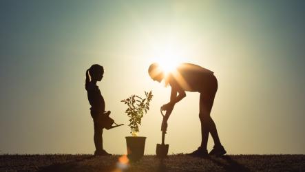 Как да научим детето да уважава природата 
