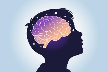 7 мита за мозъка, в които много преподаватели вярват 