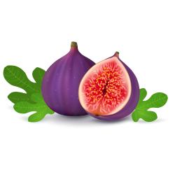 Красиво момиче се разболява в „Пресни смокини“ (подкаст) 