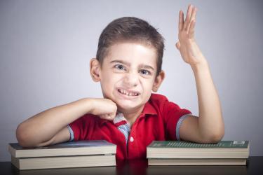 Мързел, хитрост, инат -  качества, които гарантират успех 