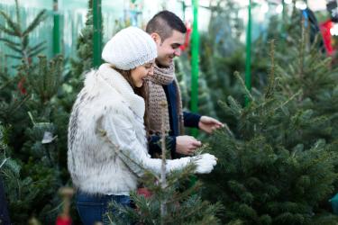 Започва кампанията за купуване на живи елхички „Посади надежда“ 