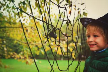  Детето се страхува от паяци   