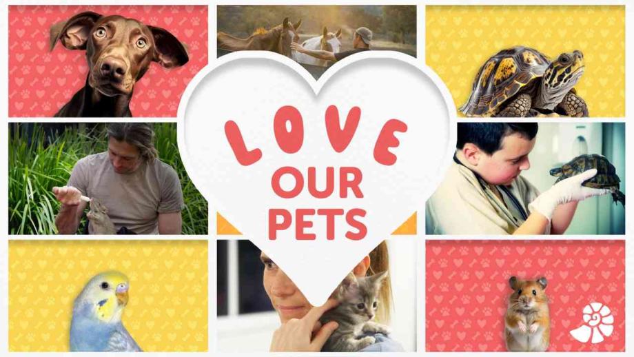 Да обичаме животните с канал Da Vinci през февруари