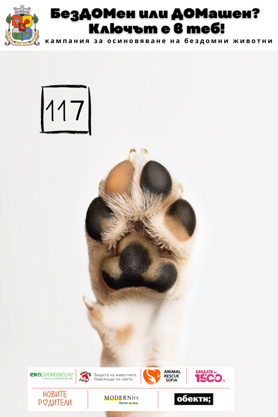 117 осиновени животинки от кампанията „БезДОМен или ДОМашен? Ключът е в теб!“