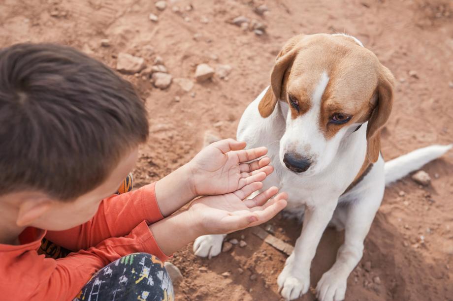 Какво означава твоето име: Стилиан/а