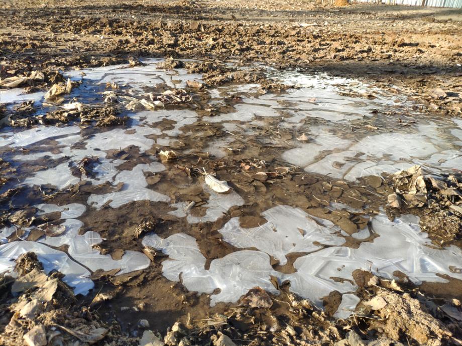 Детето пита: Защо ледът плува над водата