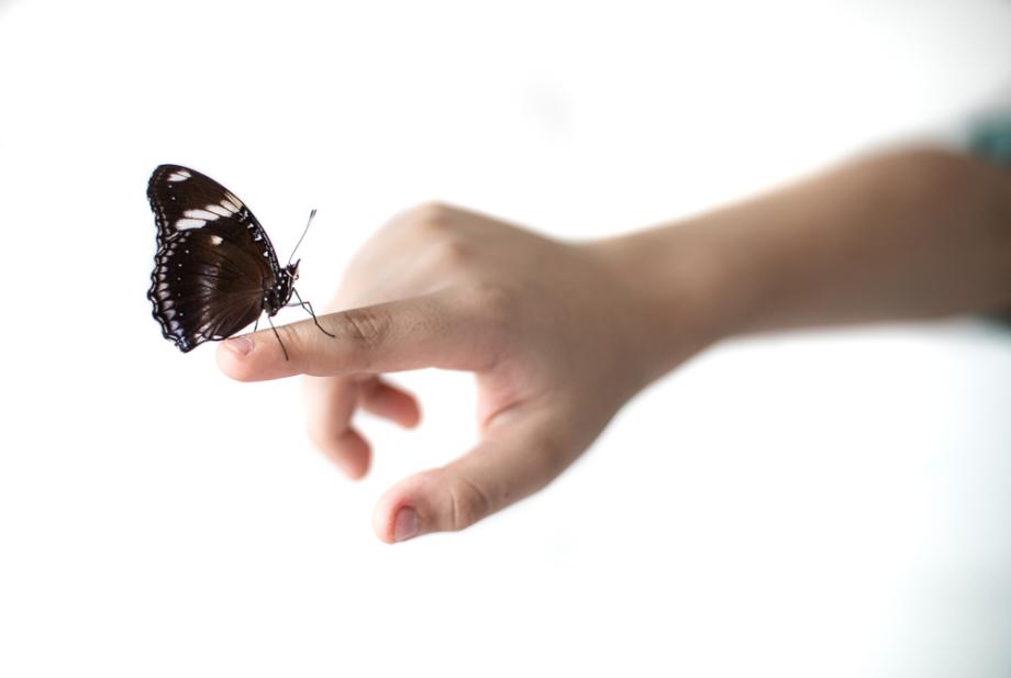 Това не се учи в училище