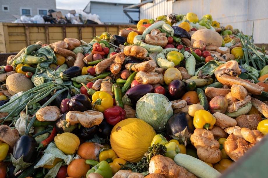 Цената на изхвърлената храна (подкаст)