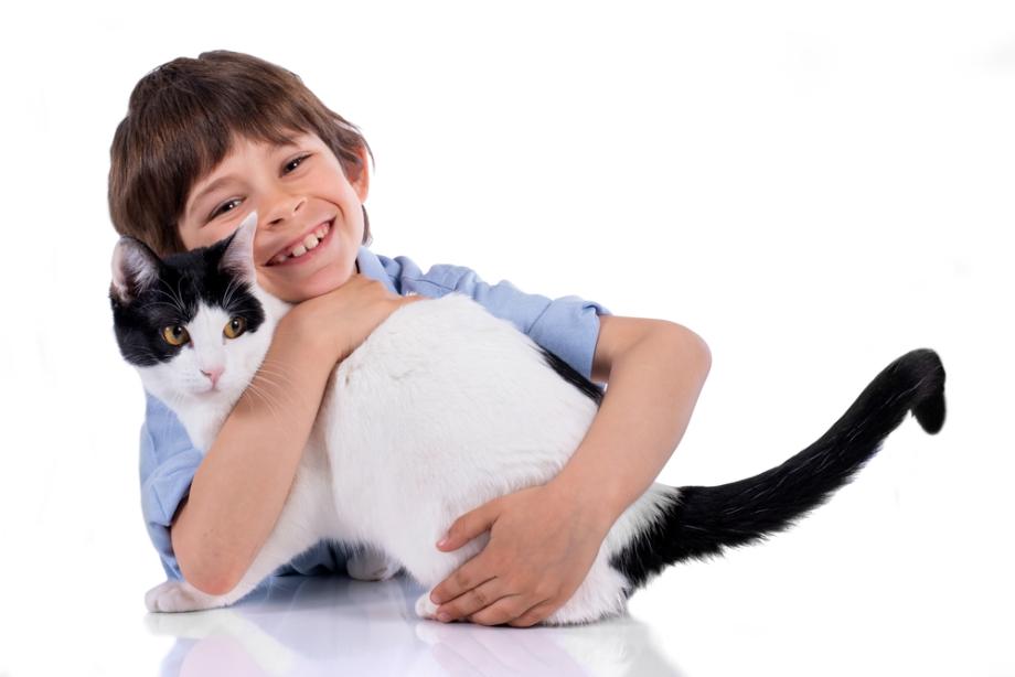 Палавите котенца